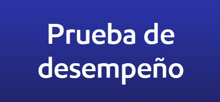 Prueba de desempeño
